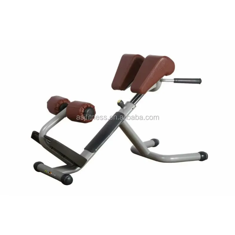 

Body Building Commercial Gym Fitness Equipment Multi Gym Bench Roman Chair