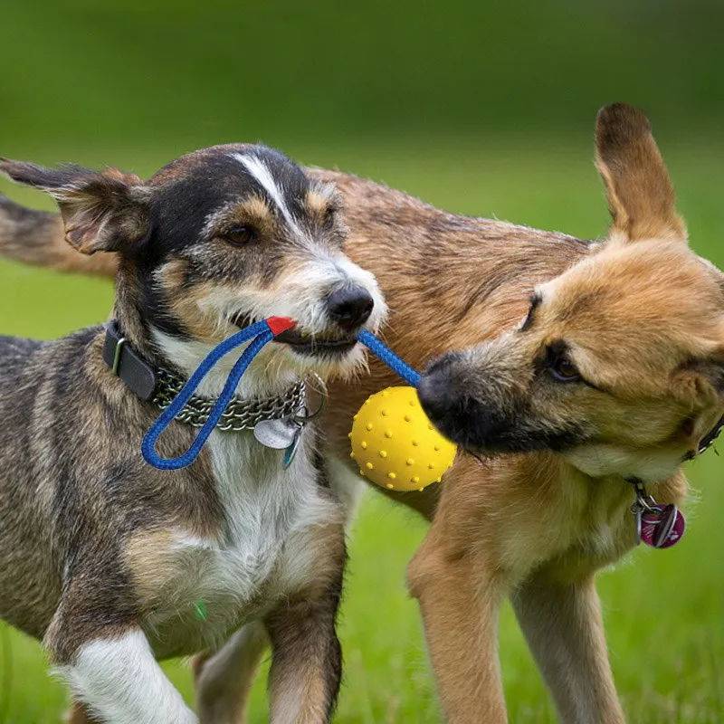 Pet Dog Training Toy Dogs Natural Rubber Ball On Rope Durable Toys Chew Teeth Cleaning Ball For Funny Excercise Play Outdoor