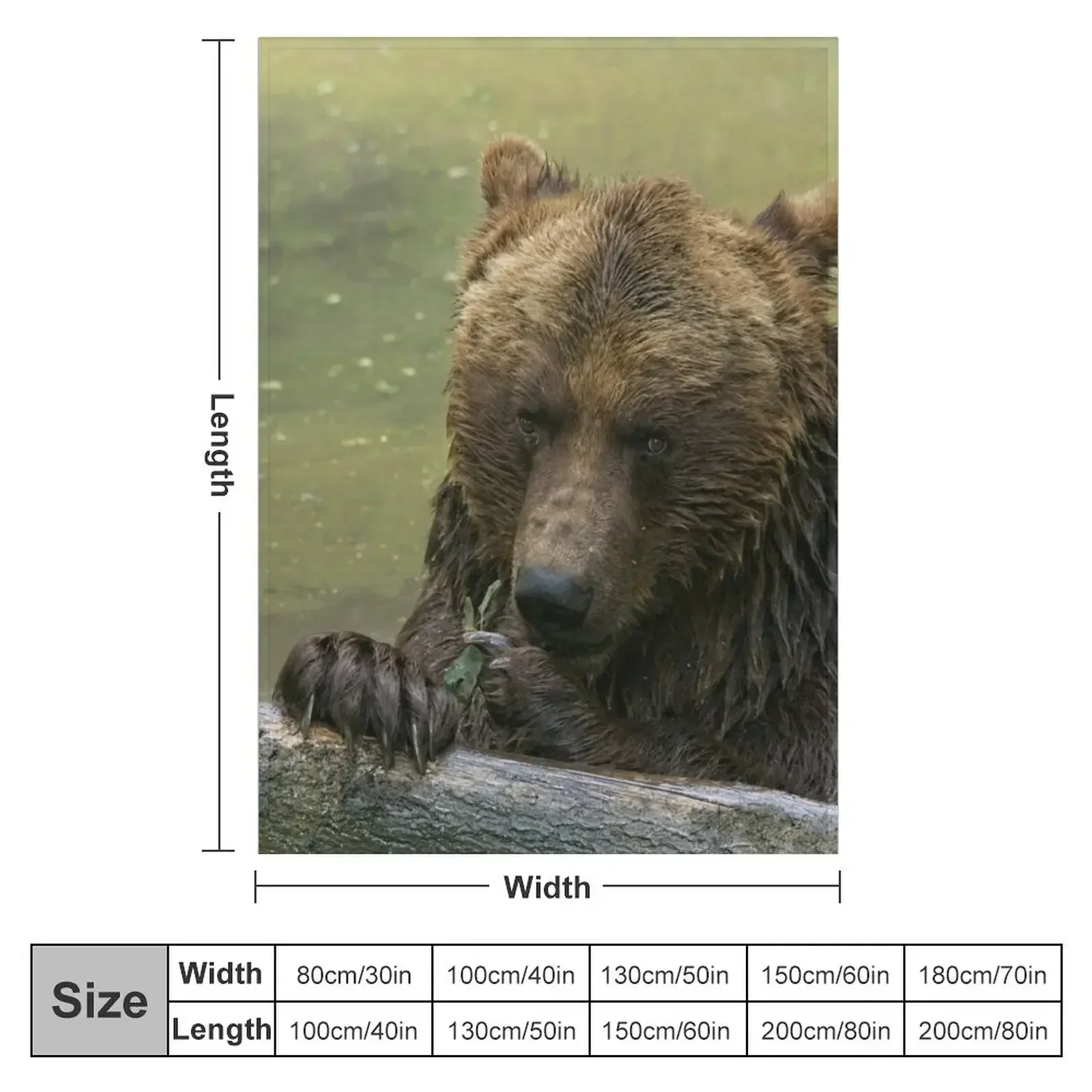 Grizzly Bear In The Lake Throw Blanket Luxury St Furrys Thermals For Travel for sofa For Sofa Thin Luxury Designer Blankets