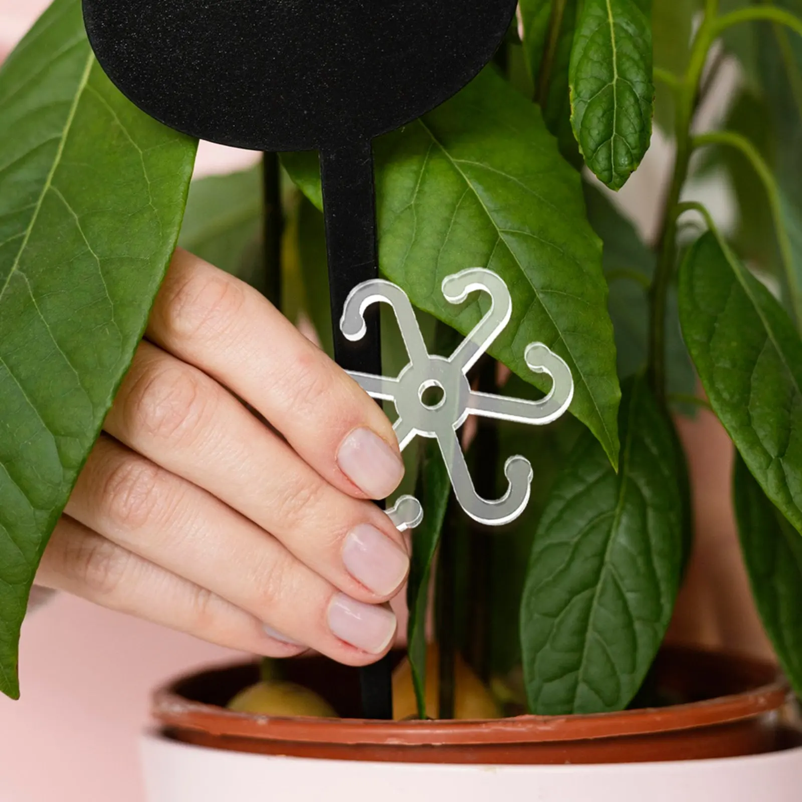 4Pcs Plant Stem Support Stable Acrylic Leaf Holder Monstera Stakes Indoor Outdoor Growth Accessories Climbing Tools