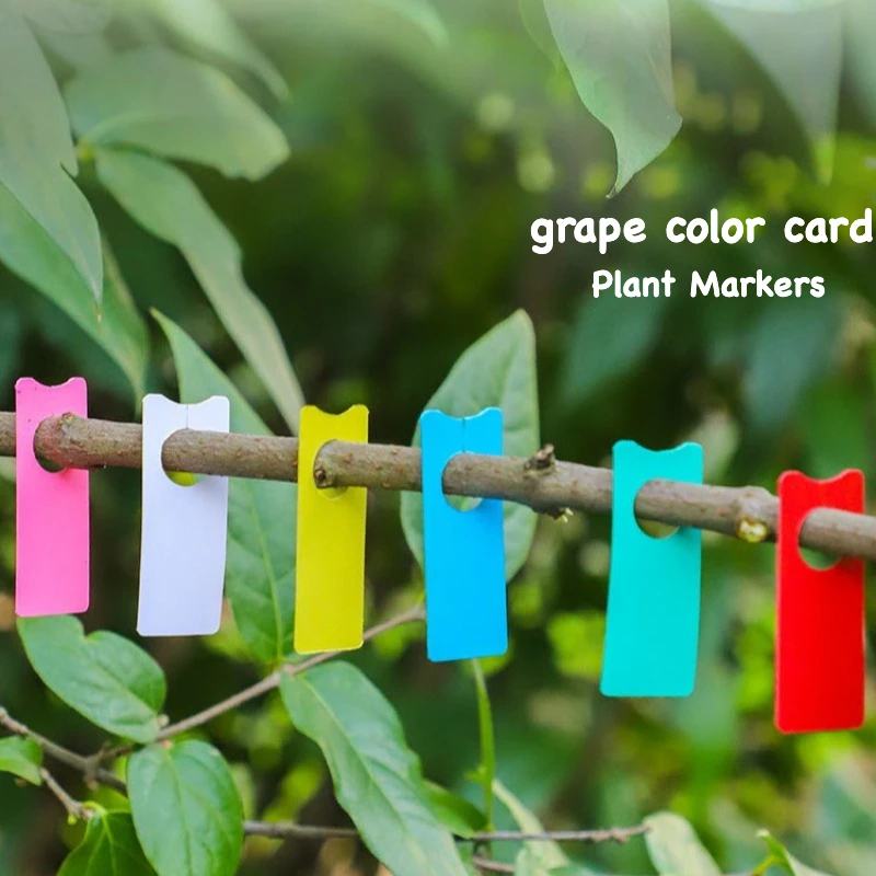 100Pcs Plant Tags Multifunction Melon Fruit Labels Garden Bonsai Decoration Sign Portable Plastic Waterproof Hanging Label