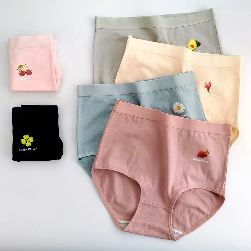 

3-Pack Women's High-Waisted Tummy Control Panties | Plus Size Cotton Briefs | Lift & Shape | Cotton (XL & Up)