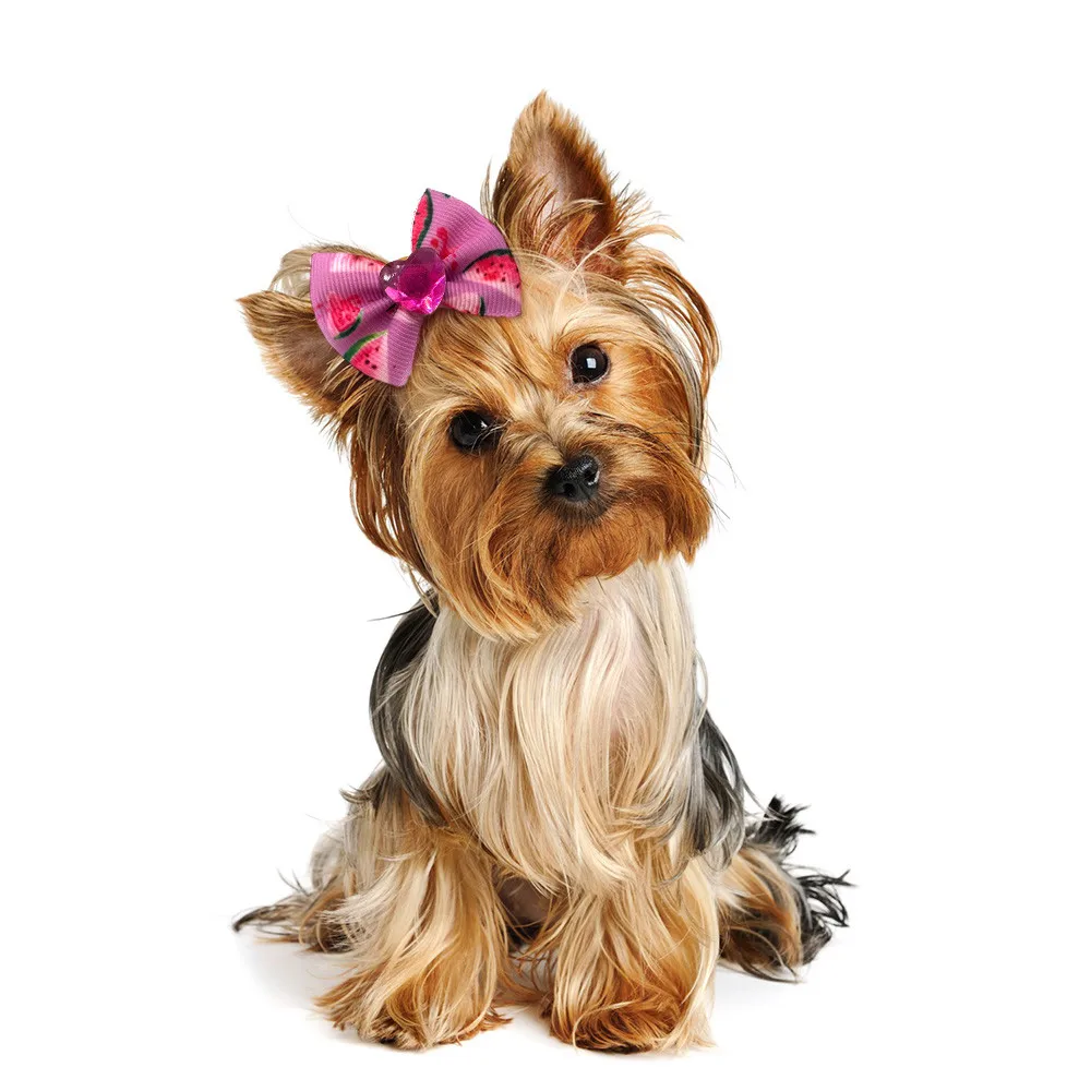 50PCS Pet Dog Grooming Accessories Summer Fruit Puppy Dog Hair Bow Rubber Bands Dog Pet Supplies Yorkshire Hair Accessories