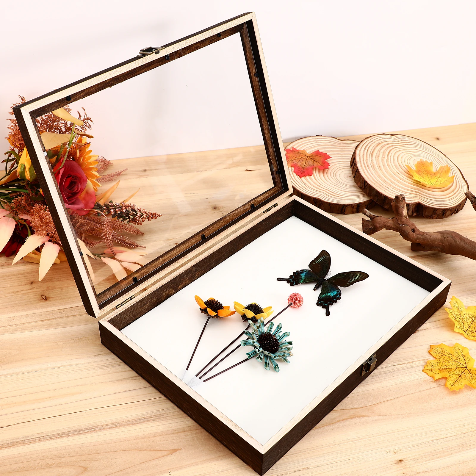 Specimen Display Box Transparent Acrylic Wood Storage Frame Retro Style Large Capacity Shadow Box Case Specimen Frame Jewelry