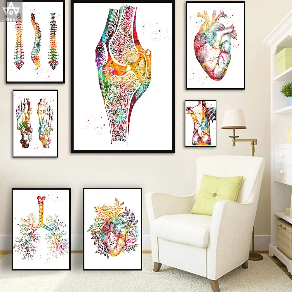Modern Anatomy Wall Art Human Body Muscle System HD Canvas Paintings Posters & Prints Medical Education Home Bedroom Decorati