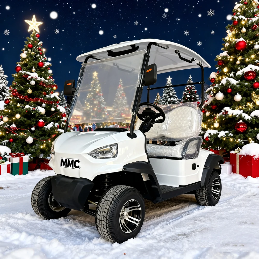 

Multi-Purpose Mini Electric Golf Cart 2 Seats Lithium Battery 4KW Motor 4WD Suitable For Top Clubs And Airport Hotels Golf Car