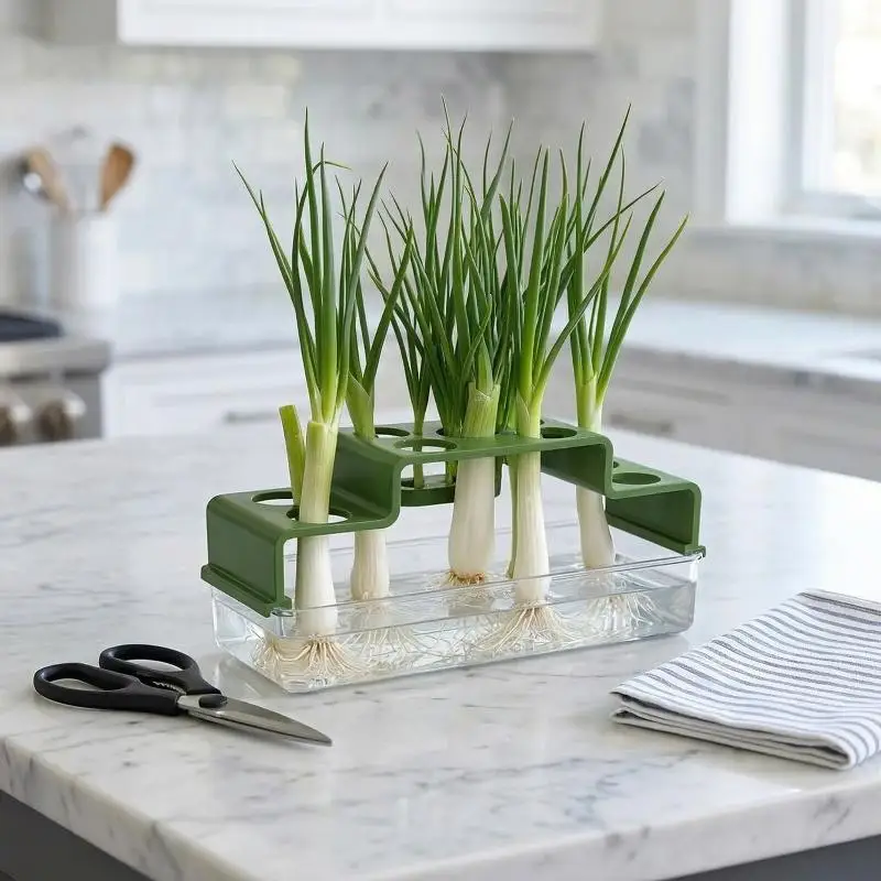 A Planting Device Specifically Designed For Green Onions, Featuring A Hydroponic System That Allows For Repeated Growth