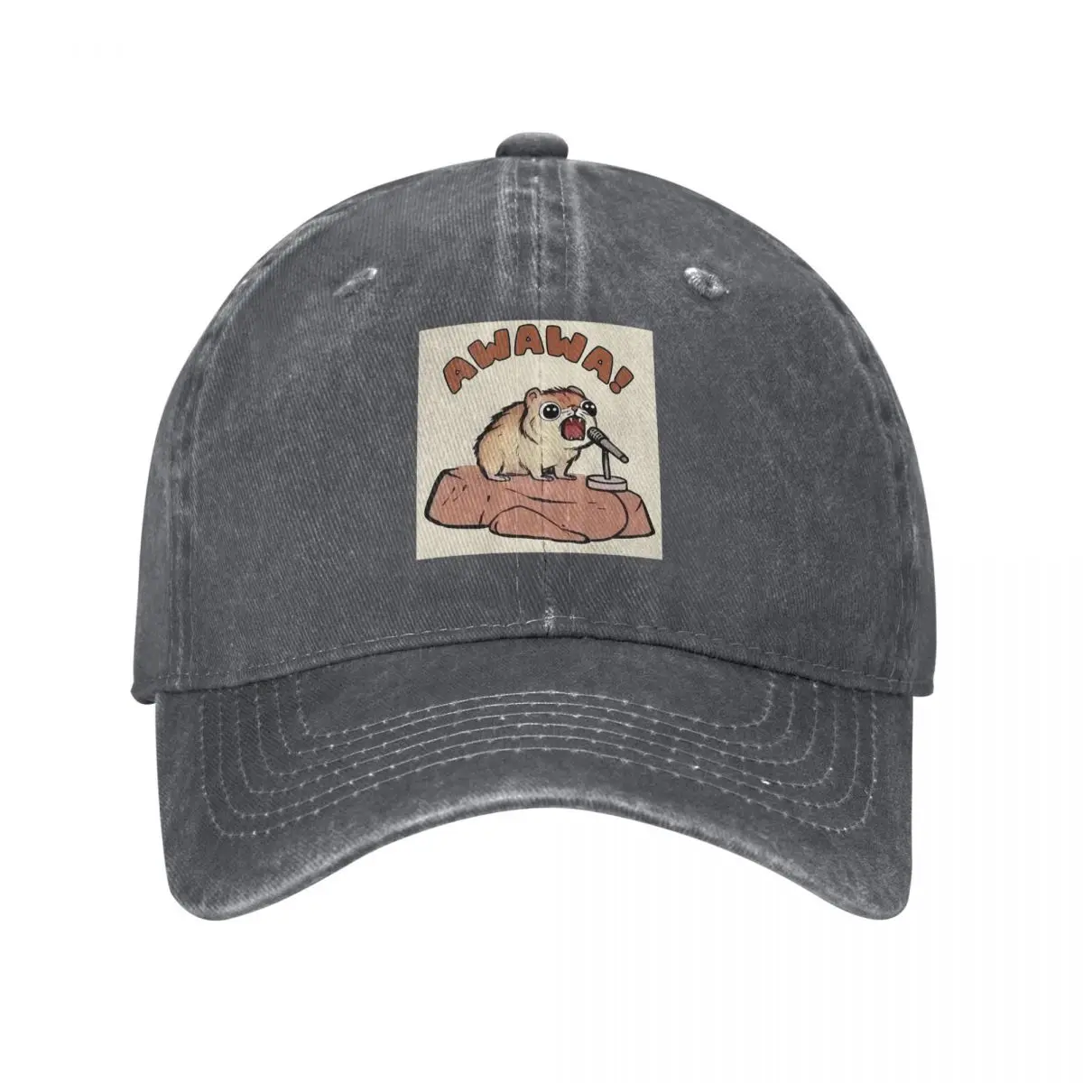 AWAWA Rock Hyrax In Concert Graphic Humor Baseball Caps Snapback Denim Hats Outdoor  Hip Hop Baseball Cowboy Hat for Unisex