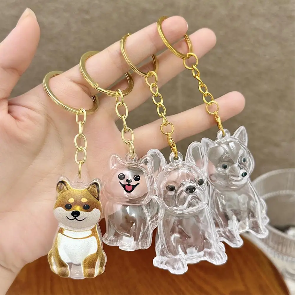 Transparent Cute Dog Hair Storage Keychain Pet Fur Keepsake Capsule Bag Pendant Decor Souvenir Collection Gift Memorial Jewelry