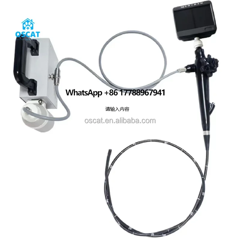 OSCAT Factory Veterinary Equipment Best Price Flexible Video Colonoscope Endoscope Olympus Fiberoptic Tower Colonoscope