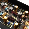 Amplificateur phono à tube HIFI avec contrôle du volume, base sur EAR834, type divisé, MM, ECC83 4