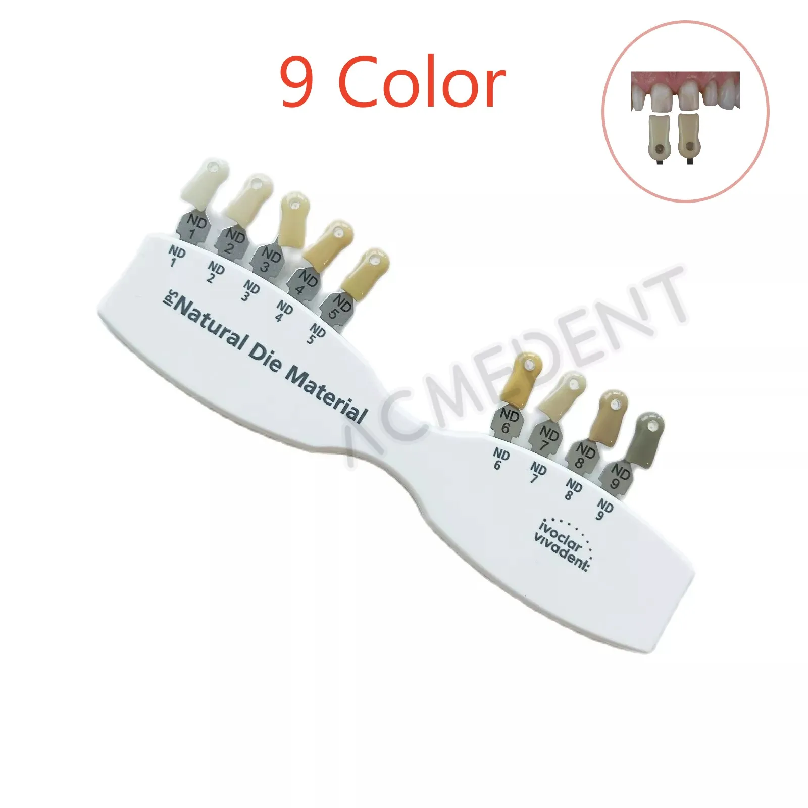 

Dental IPS Natural Die Material Shade Guide Ivoclar Vivadent ND1-9 Abutment