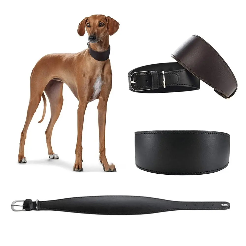 Collar ancho ajustable para perro, collares para mascotas de cuero vacuno suave, correa cómoda sin tirar, collares de razas grandes, galgos italianos