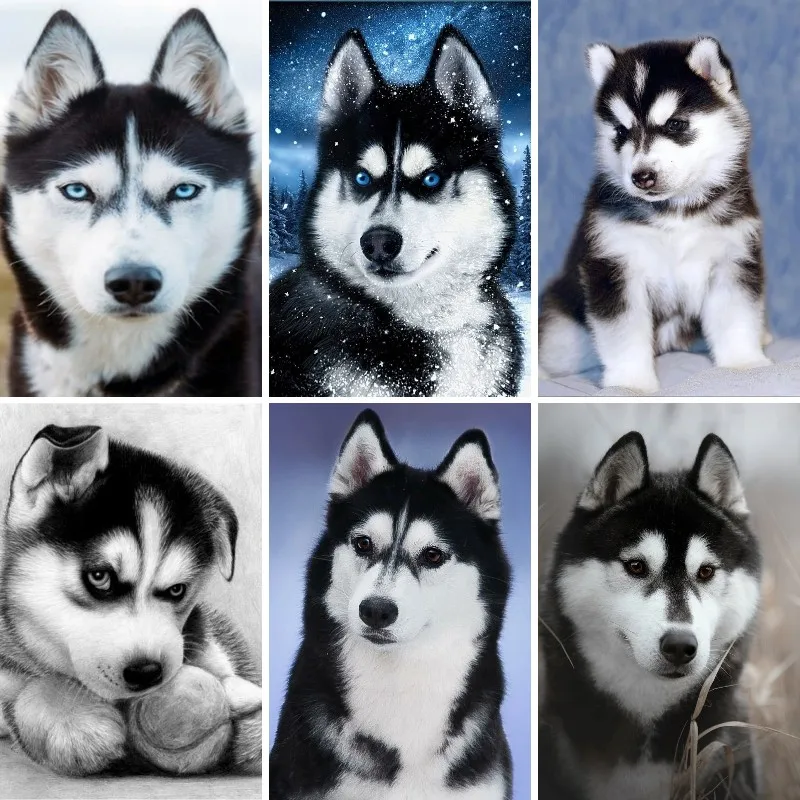 Siberian Husky Pet Portrait 3D Diy Diamond Painting Full Square/Round Handicraft Embroidery Mosaic Country Decor,Dog Lover Gift