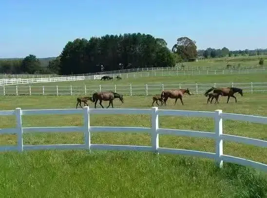 Fiberglass Horse Fence 3-Rail 4-Rail FRP Equine Fencing  Resistant Maintenance-Free Ranch Guardrails for Equestrian Centersgloba