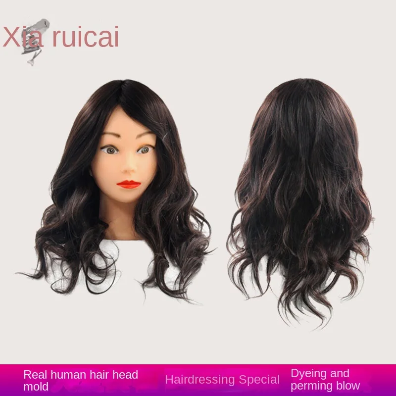 100% real human hair  head modell  teaching head  practice hot roll cut modeling dummy head 12inches-18 inches