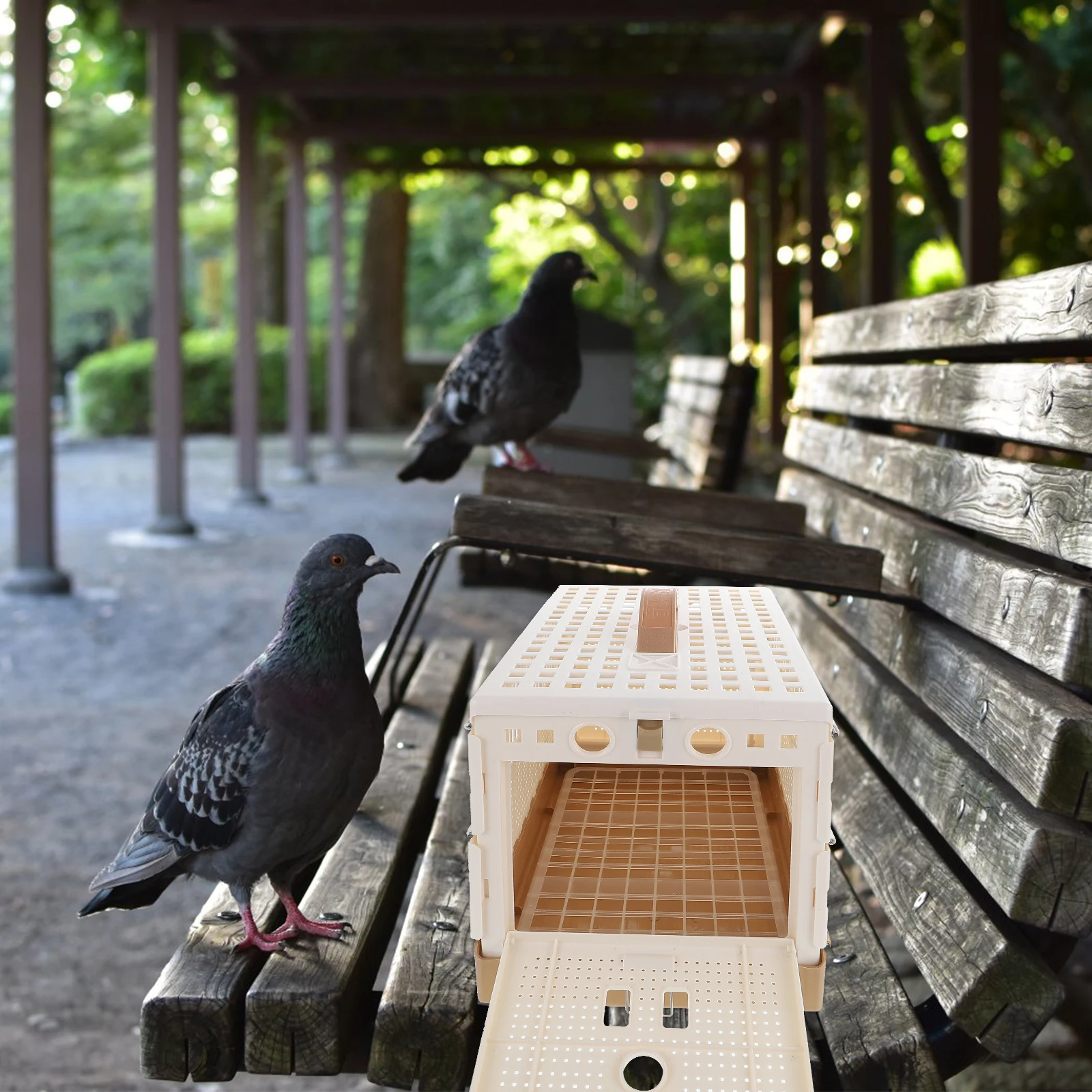 

Foldable Pigeon Cage Premium Plastic Portable Bird Housing For Domestication Resting Transportation Durable Safe Easy