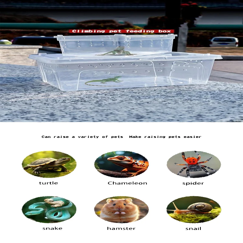 Transparent Reptile Tank Breeding Box Stackable Ventilated Reptile Terrarium View Escape-Proof Turtle Lizard Transport Container