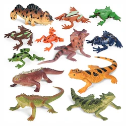 Plastic Reptile Lizard Figures Amphibian Frog Figurines Realistic Jungle Animals Chameleon Rainforest Character Toys 12PCS