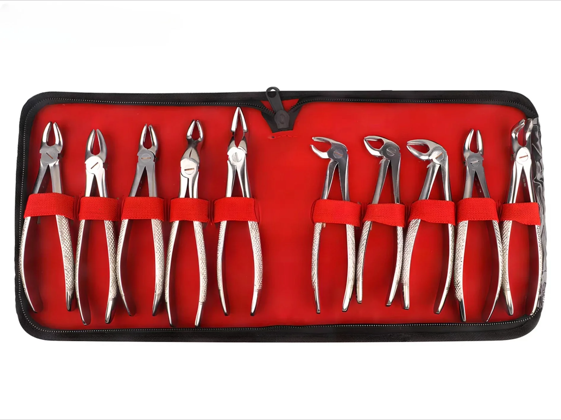 Adult Stainless Steel Surgical Extraction Tools 10 Pcs/Pack Extraction Forceps Kit