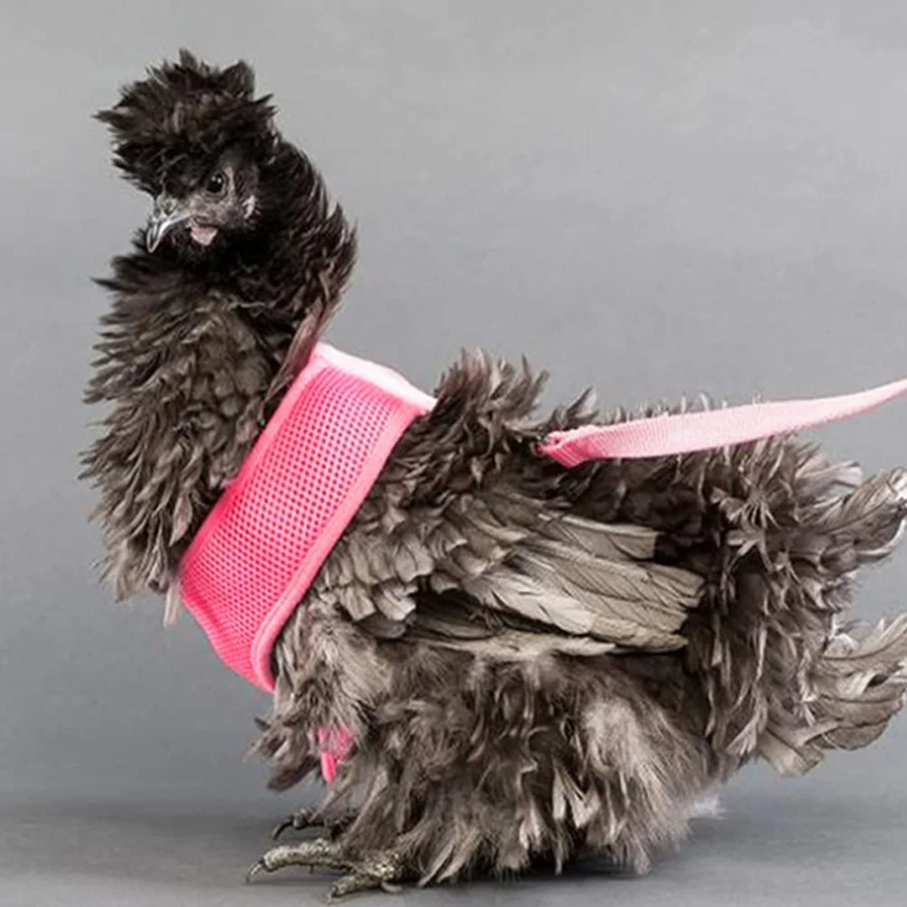 

Chicken Pet Harness Leash Comfortable Vest for Rooster Training Durable Breathable Reinforced Material Chicken Leash