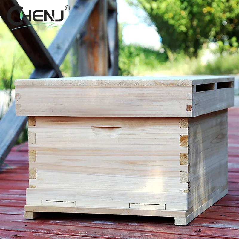 10Pcs/set Excellent DIY Accessories Yellow Honeycomb Foundation Bee Hive Wax Frames Beekeeping Equipment Sheet