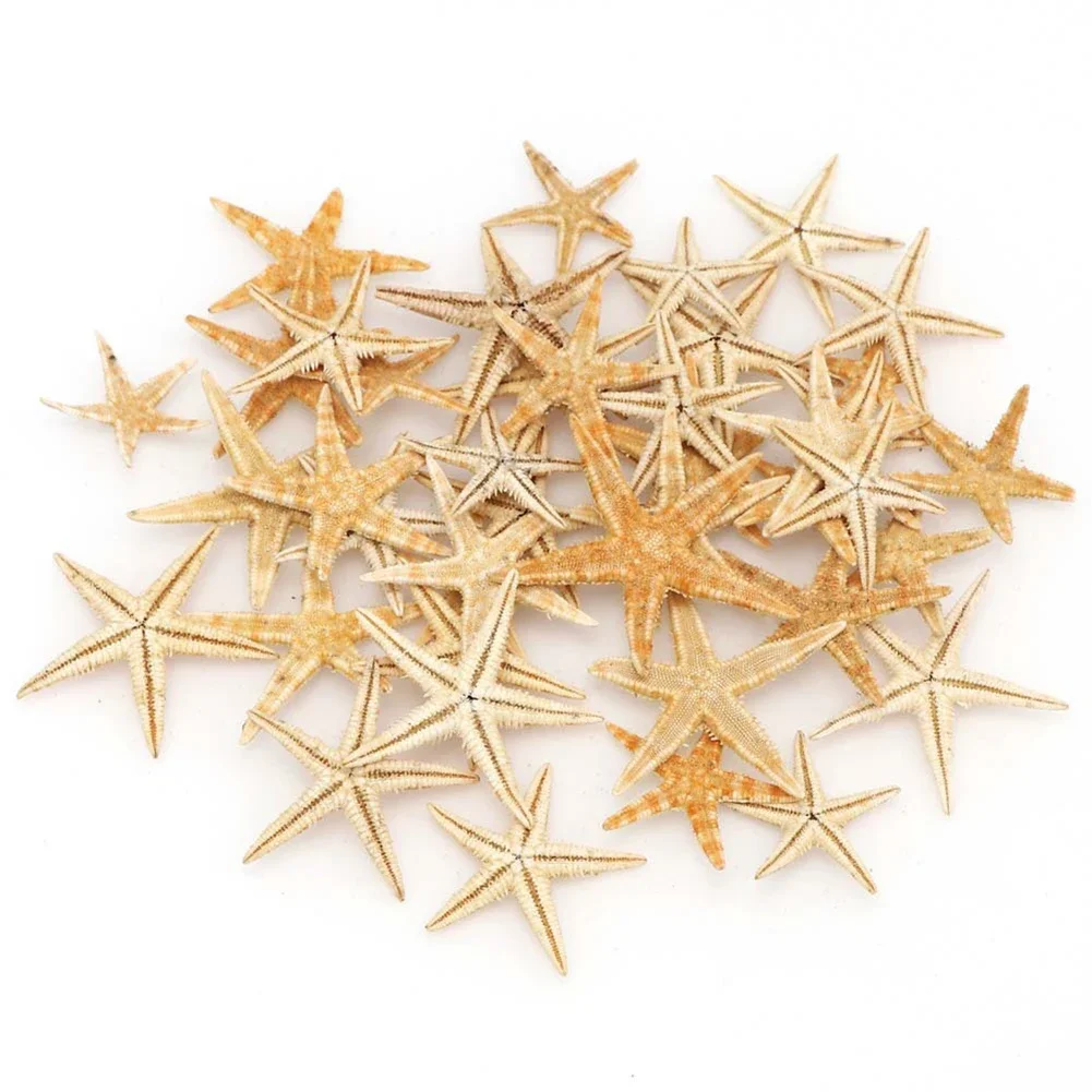 20/50/100pcs Starfish Seashell Practical Mixed Starfish Seashell Natural Mixed Reusable Realistic White Star Fish Tank Decor