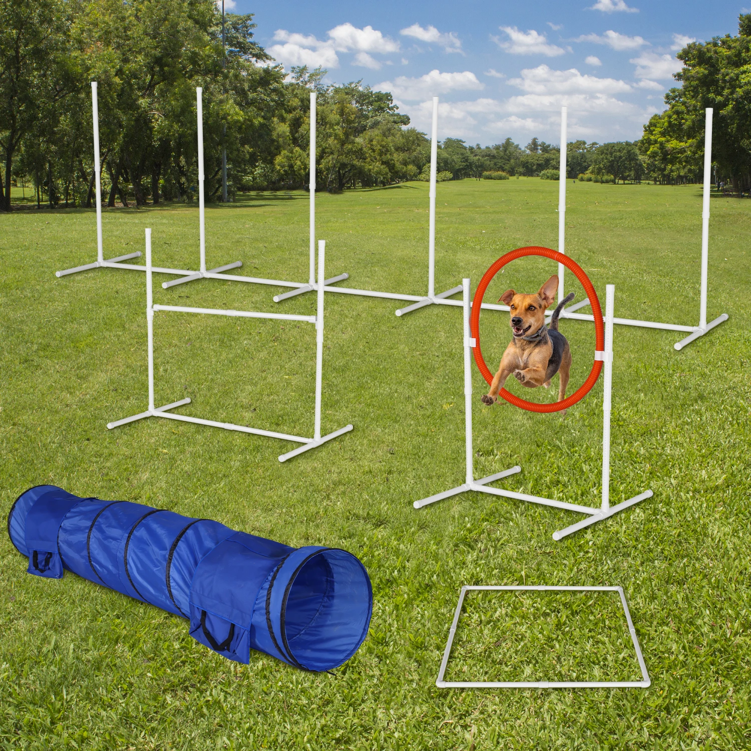 

6Pack Dog Agility Training Equipment Set