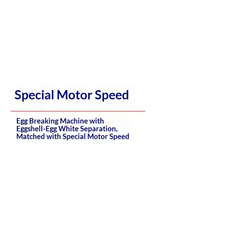 Industrial Automatic Egg Cracking Shell And Liquid Separate Electric Breaker Egg Breaker Machine For Whole Egg