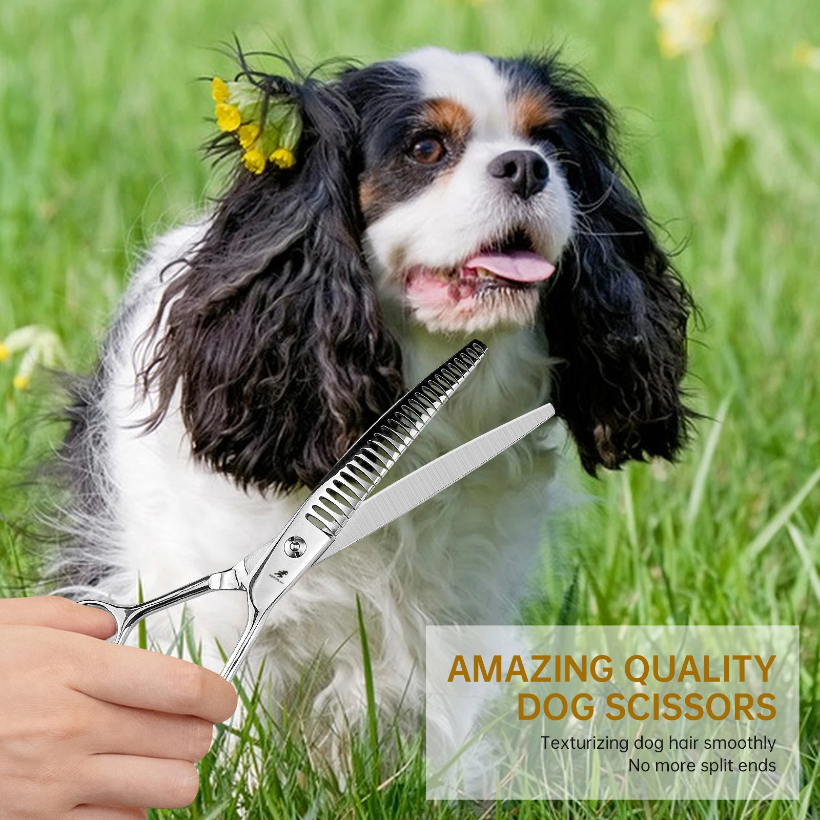 Dog Curved Thinning Scissors 8.0\