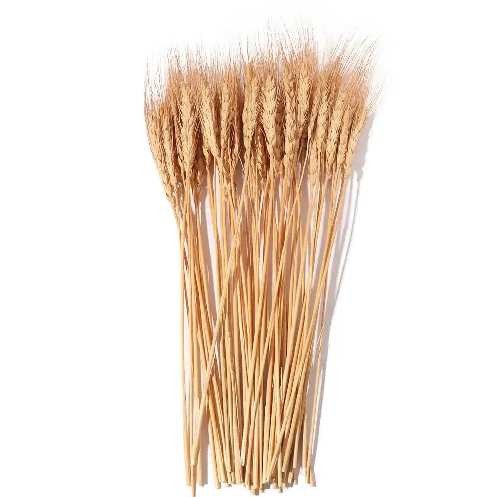 50pcs Artificial Flower Natural Dried Wheat Stalks DIY Craft Elegance Dry Wheat Spikes Rustic Dried Flowers Christmas Decoration view 5