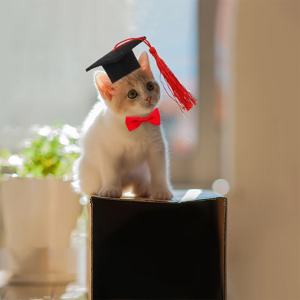 

2 Pcs Pet Doctor Hat Bow Tie Small Accessories Mini Red Felt Cloth Caps and Bow-tie