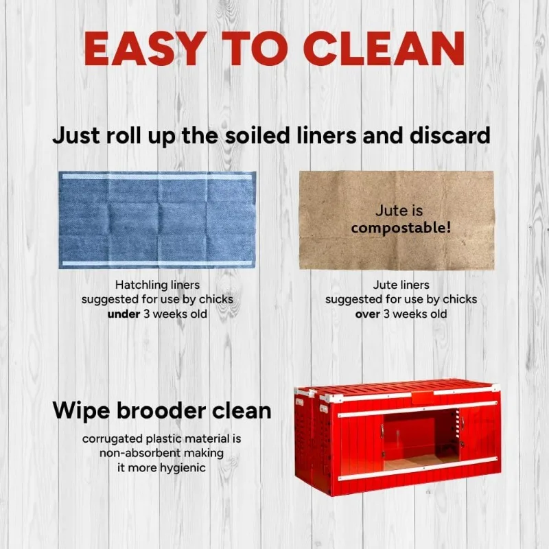 大型赤い納屋雛飼育セット（加熱プレートと止まり木防止コーン付き）、雛用餌入れ2個、雛用給水器2個、スイング付き