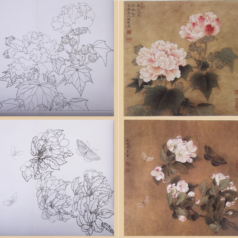 Bird Flower Practical Line Drawing Book Traditional Chinese Painting Hand-painted Coloring Copying Book Picture Enlarged Version