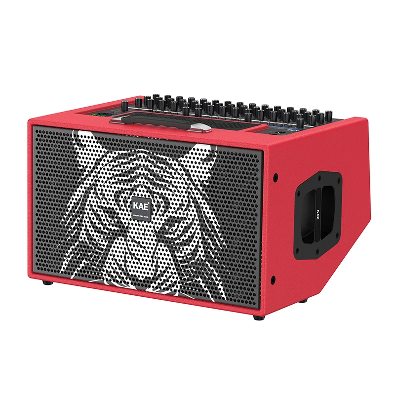 

Hot Sale Professional Speaker Eco-friendly Rectangular Birch Plywood Speaker with Rechargeable Battery for Live Concerts Outdoor