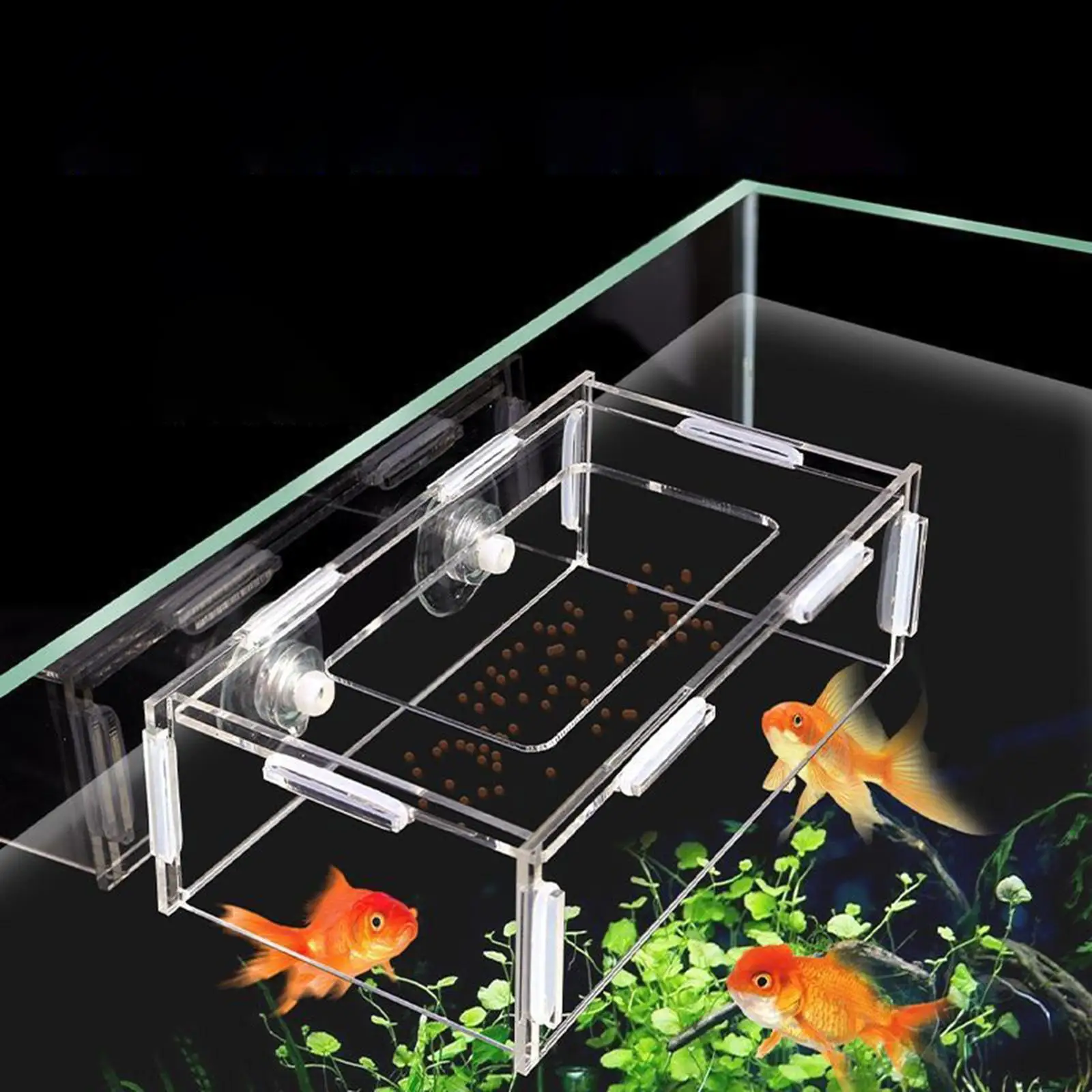 Acrylic Fish Tank Feeder Convenient Feeding Supplies Clear Smooth Surface Fish Shrimp Feeder for Fish Tank Shrimp Aquarium Fish