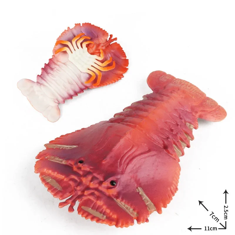 Simulazione animali marini medievali Opabinia Slipper Lobsters Anomalocaris Action figurine oceaniche giocattolo educativo regalo