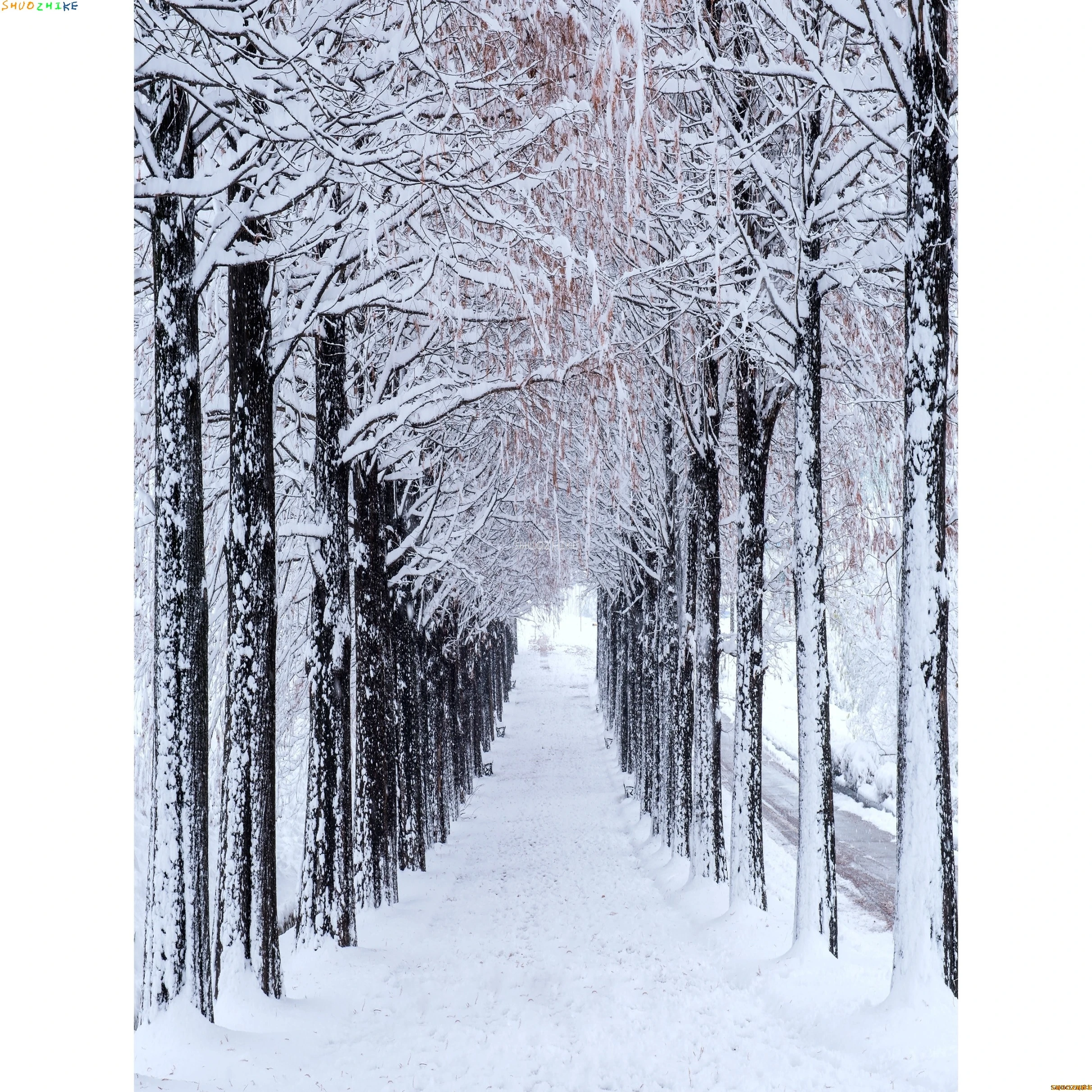 الشتاء الغابات الثلوج الطريق خلفيات للتصوير الفوتوغرافي عدم وضوح المشهد الثلج الطريق شجرة التنوب خلفية الصورة XD-15