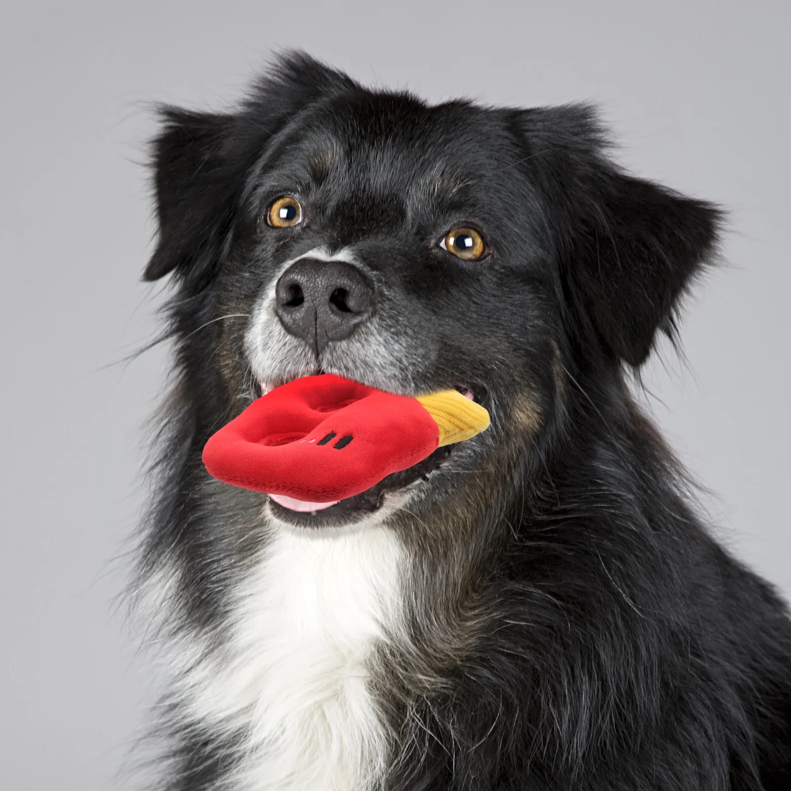 

Fun Squeaky Dog Teeth Cleaning Chew Resistant Small Dogs Durable Interactive Puppy Teething For Boredom Relief Doggy For