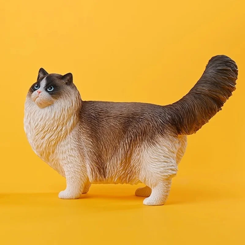 

Ragdoll2.0Model simulation pet kitten accessories, figurines, dolls, desktop and car decorations