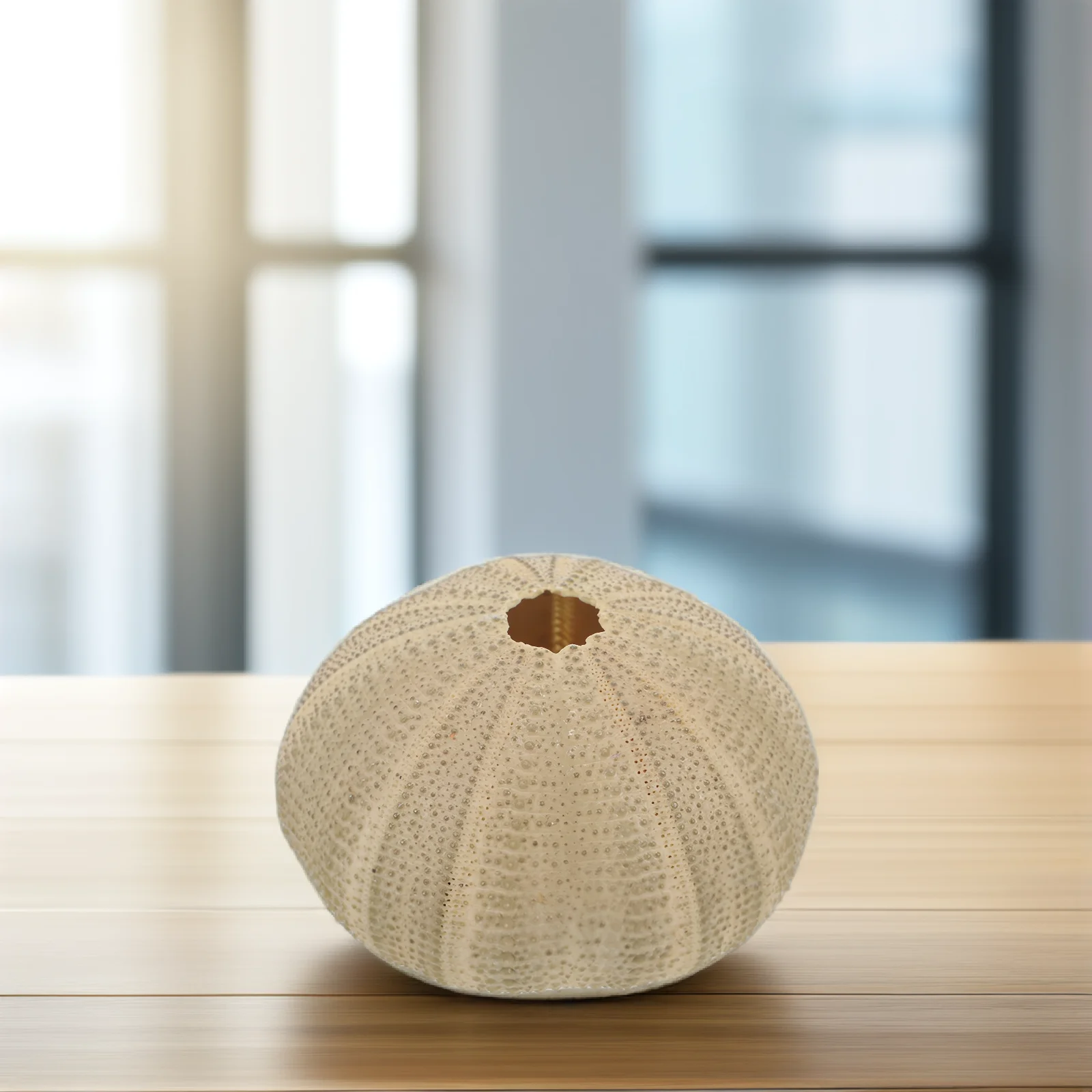 6 قطعة قذائف قنفذ البحر 4 6 سنتيمتر قذائف قنفذ البحر الطبيعي للحرف اليدوية المواد ديكور المنزل خزان الأسماك حلية آمنة ممتازة DIY بها بنفسك