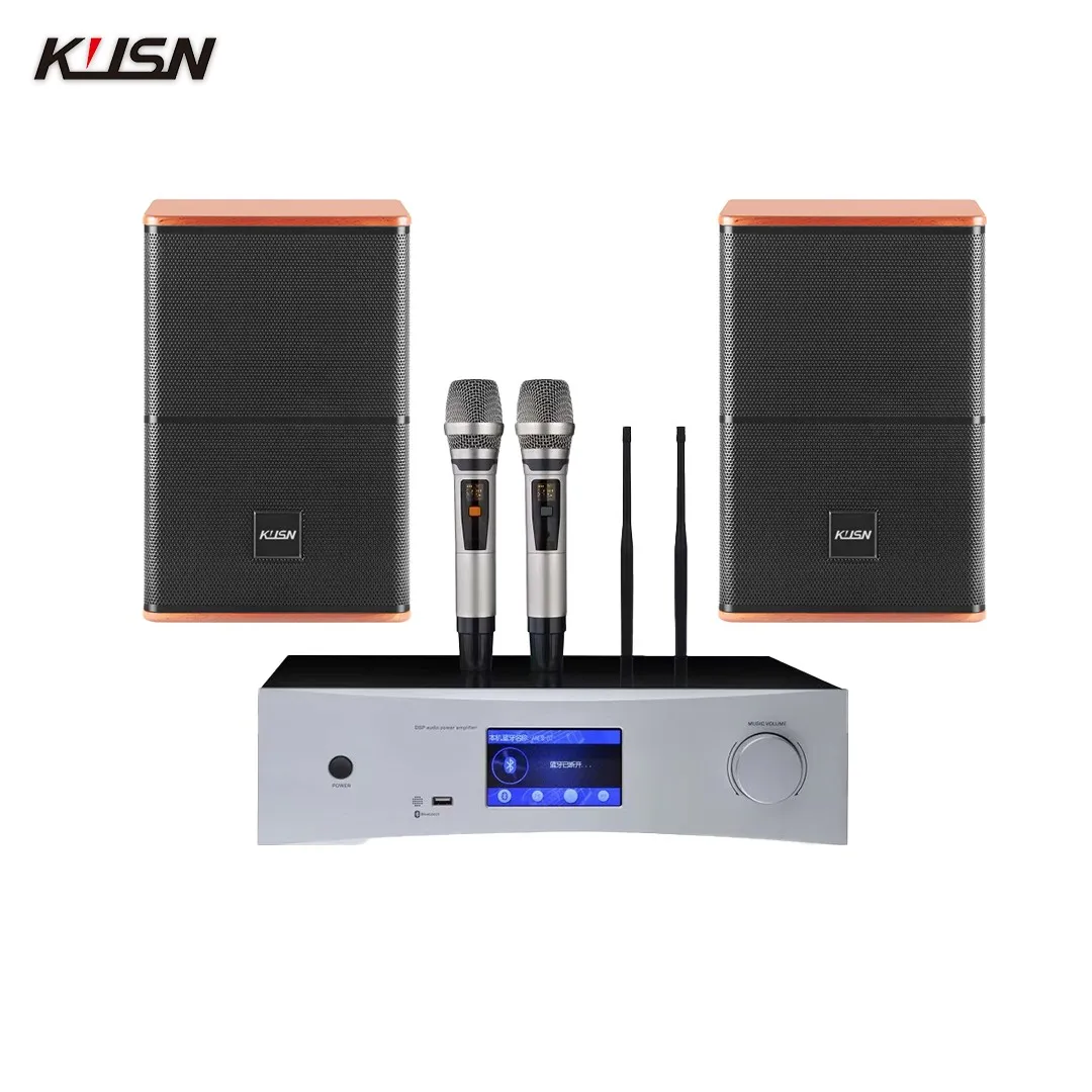 

8 Inch Full-range Speaker Home Theater KTV Sound System Set with Hi-Res UFH Microphones