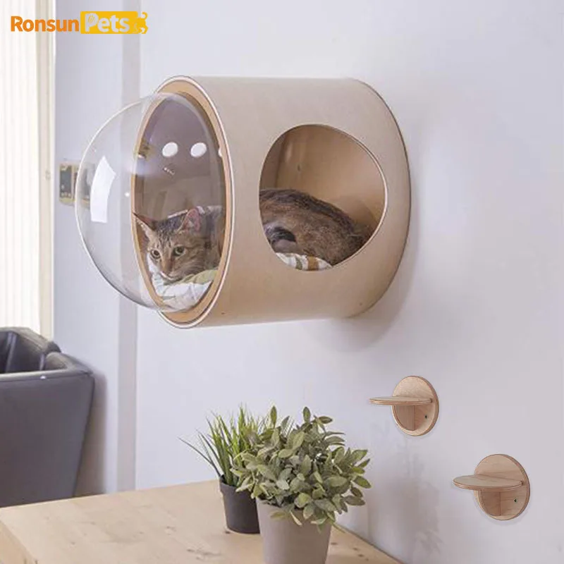 Cabine murale transparente pour chat, économique, au design mignon, pour l'esthétique de la maison, avec espace libre pour grimper et se reposer