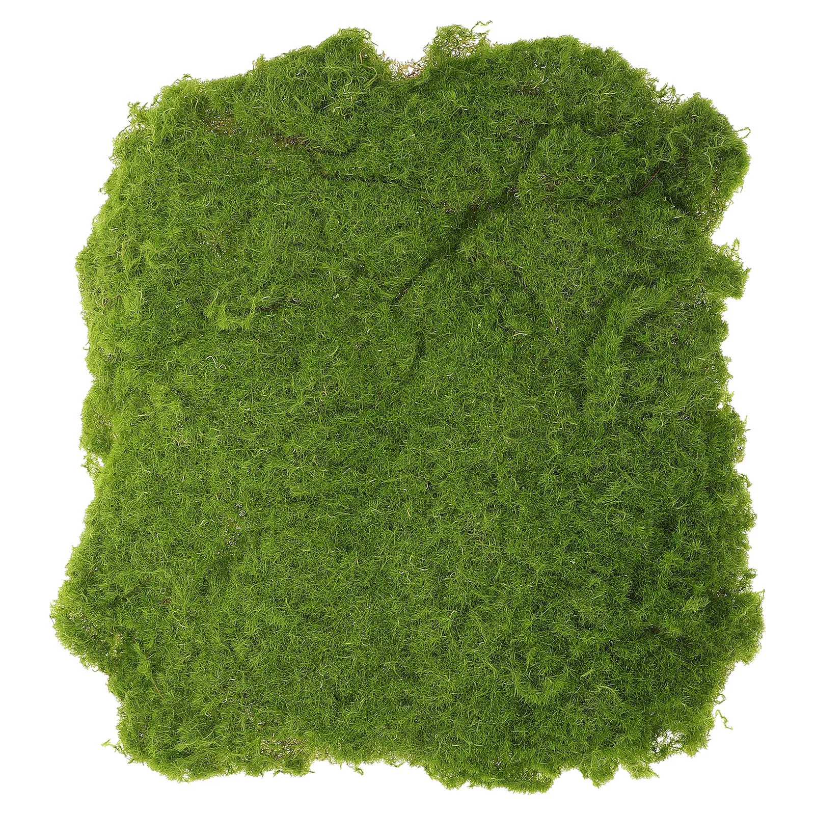 

Artificial Turf Decor Simulated Moss for Sand Table DIY Crafts Brighten Micro Landscape Fake Grass Mat Fairy Garden Kit