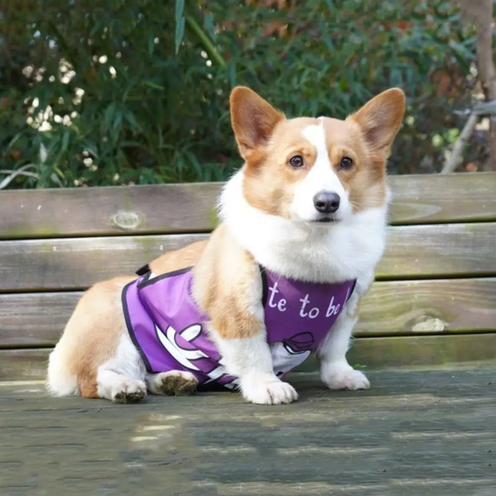 Hund Bauchband Weste Anti Schmutz Hund Bauch Schutz Kleidung Wasserdichte Weiche Hund Bauch Tasche Atmungsaktive Haustier Hund Lätzchen Training