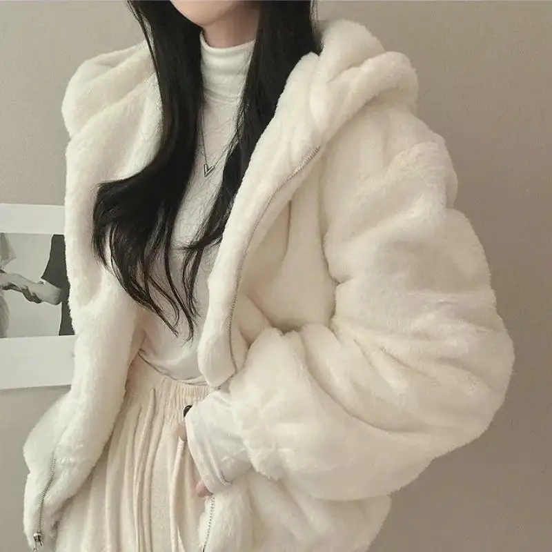 Hooded Plush Thick Section Wool Jacket Women's Fall And Winter Padded Thickened Zipper Warm Short Coat Cute New Fashion