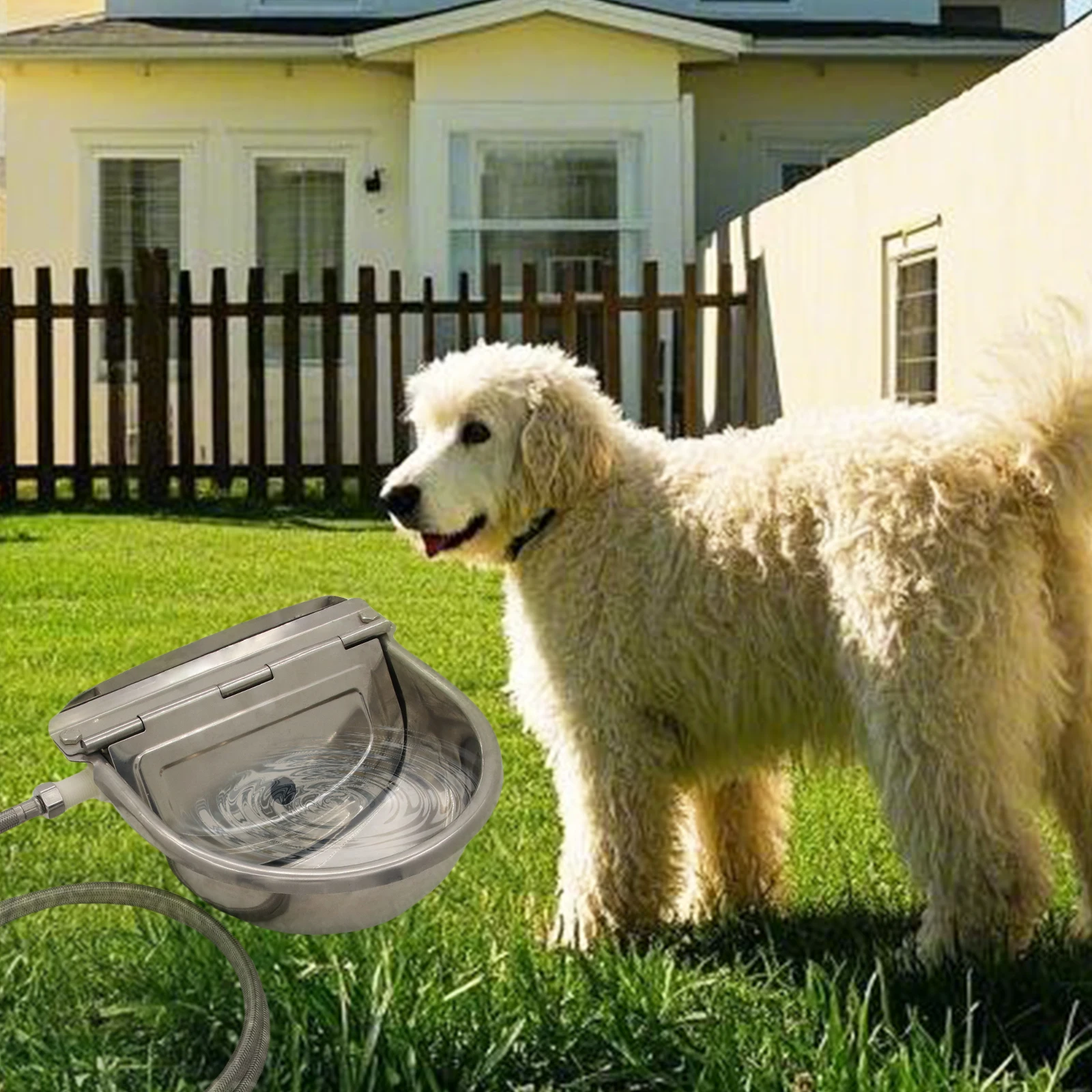 الفولاذ المقاوم للصدأ دون ثقب الصرف التلقائي تعويم شارب الزراعة حوض الحصان البقرة وعاء الماء لوازم الأغنام الكلب الماعز الماشية