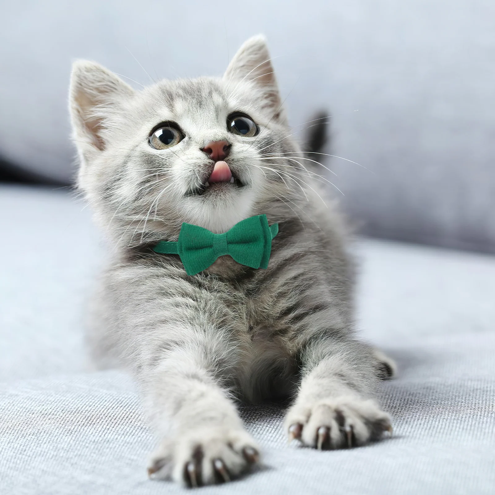 

2pcs Adjustable Pet Cat Collars With Bell Bow Tie Kitten Breakaway Collar For Small Pets Festival Party Outdoor Decorative