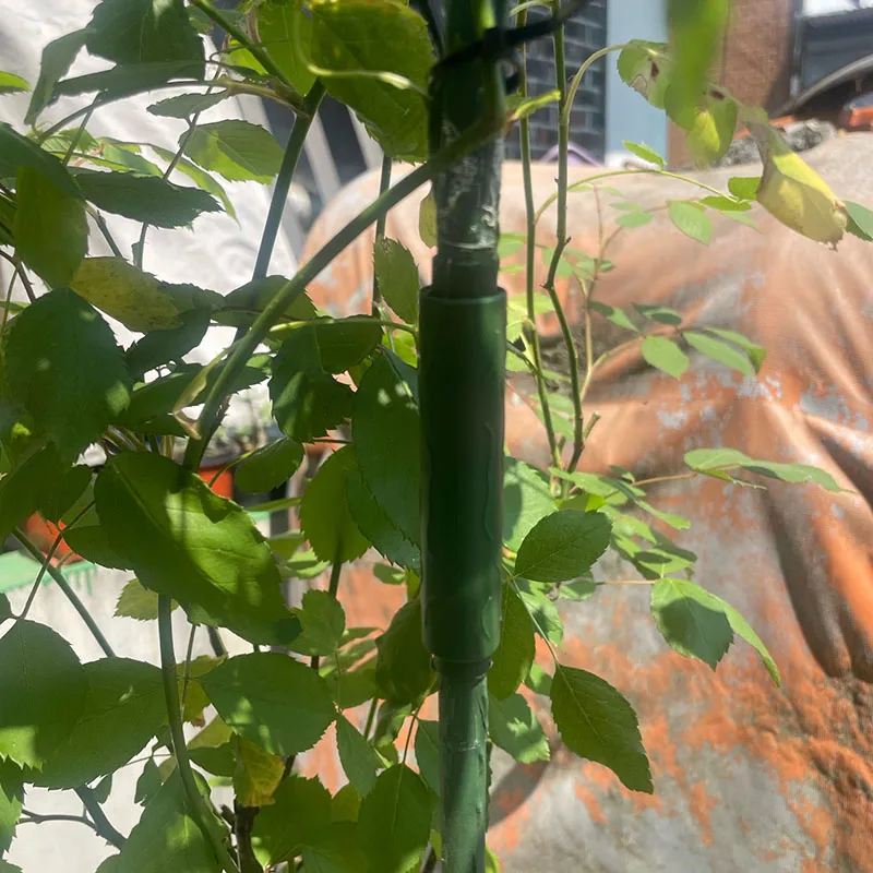 Tubo de conexión verde PE para Injerto de plantas, 10 piezas, 11mm x 75mm, Clip conector para estacas de plantas de invernadero, soporte para plantas