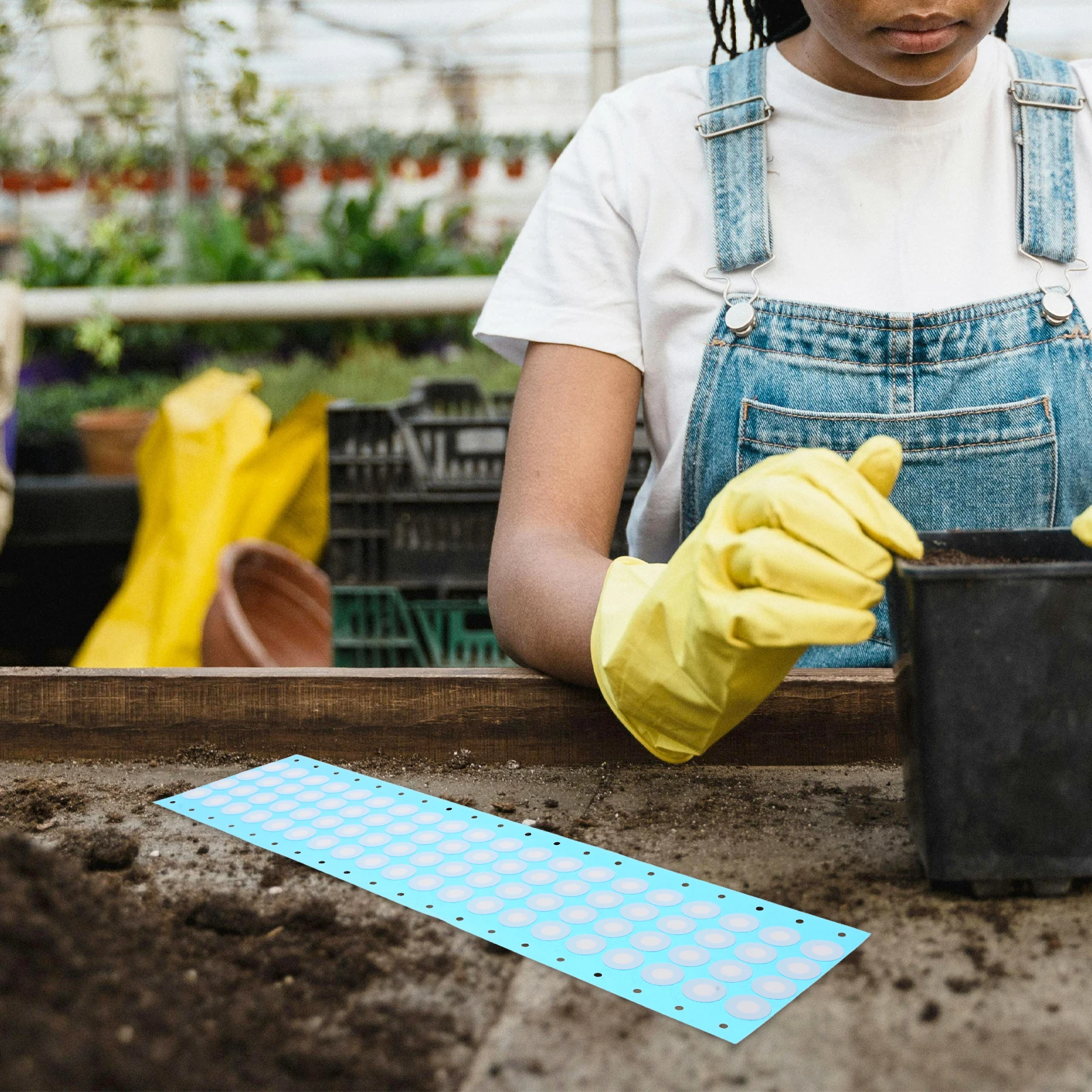

EPTFE Filter Membrane Discs for Mushroom Cultivation Bacteria Isolating Breathable Films Fungus Growth